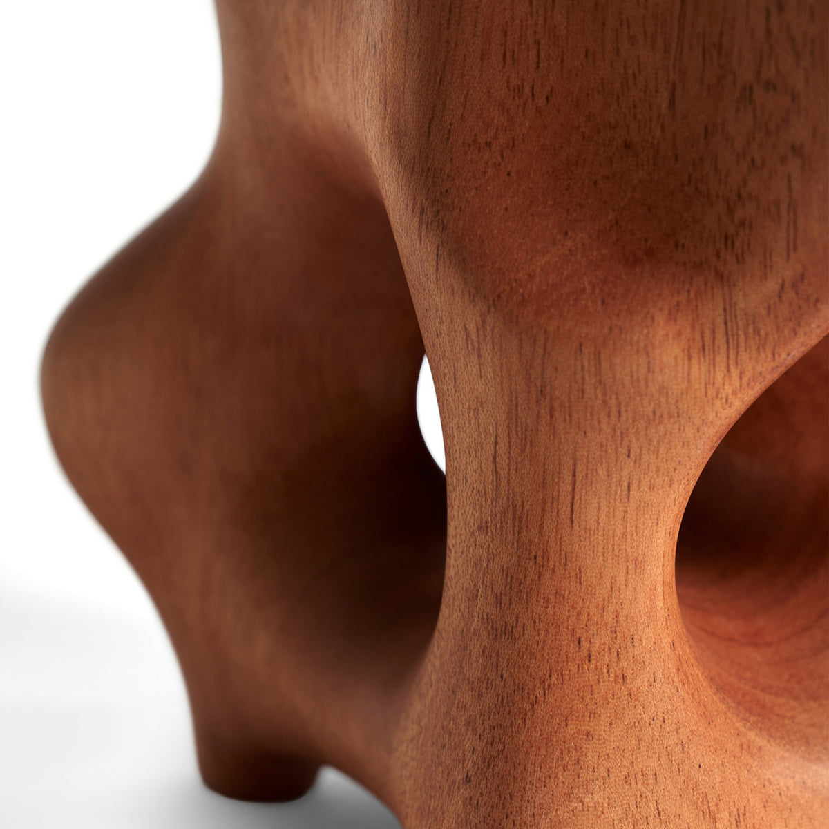 Organic Sculpture - Varnished Mahogany