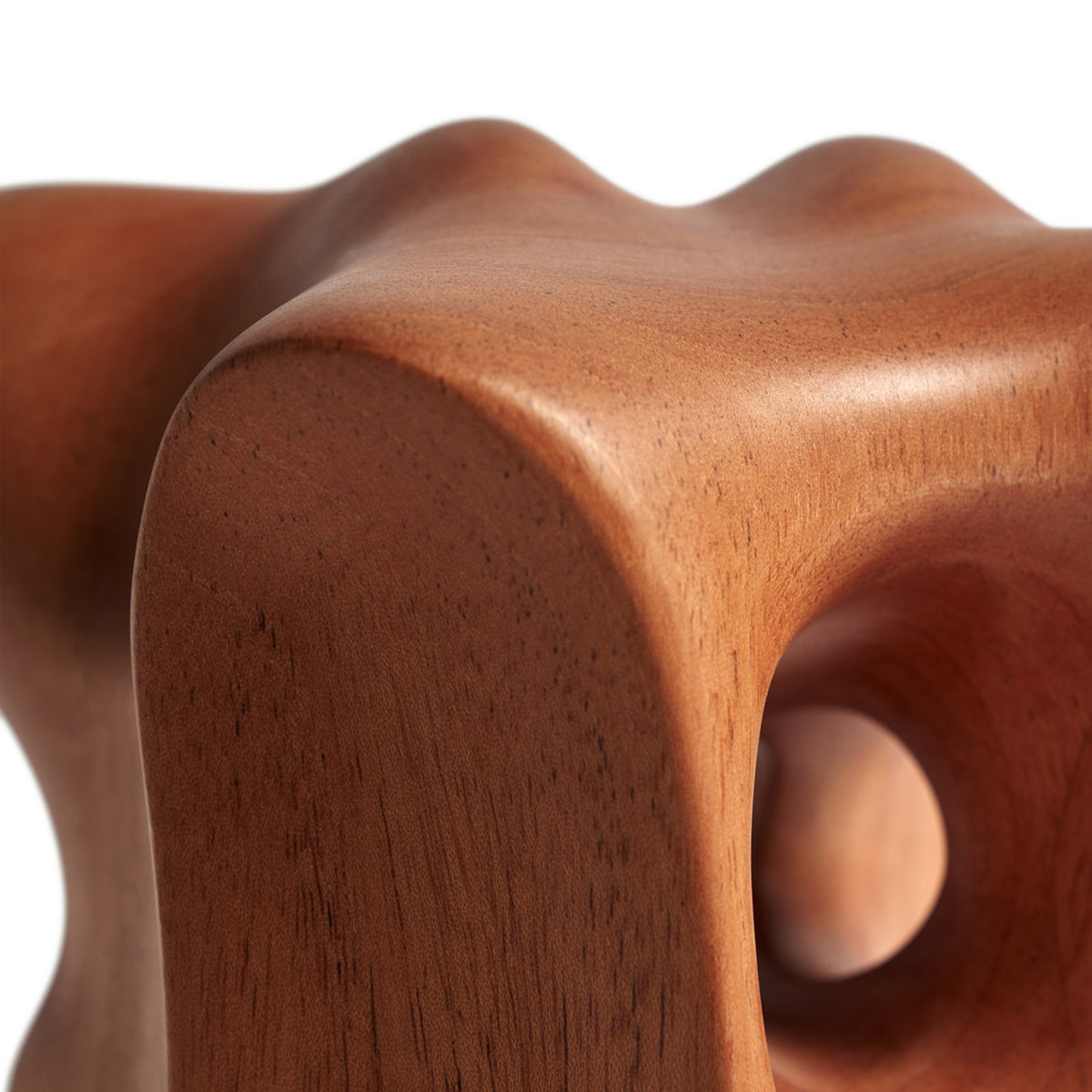 Organic Sculpture - Varnished Mahogany