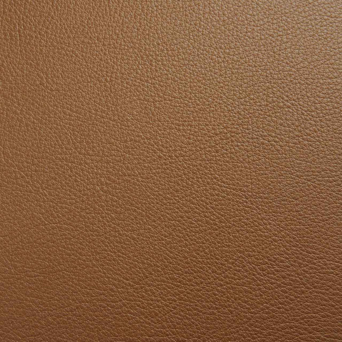 Bok Dining Chair - Varnished Oak - Cognac Leather