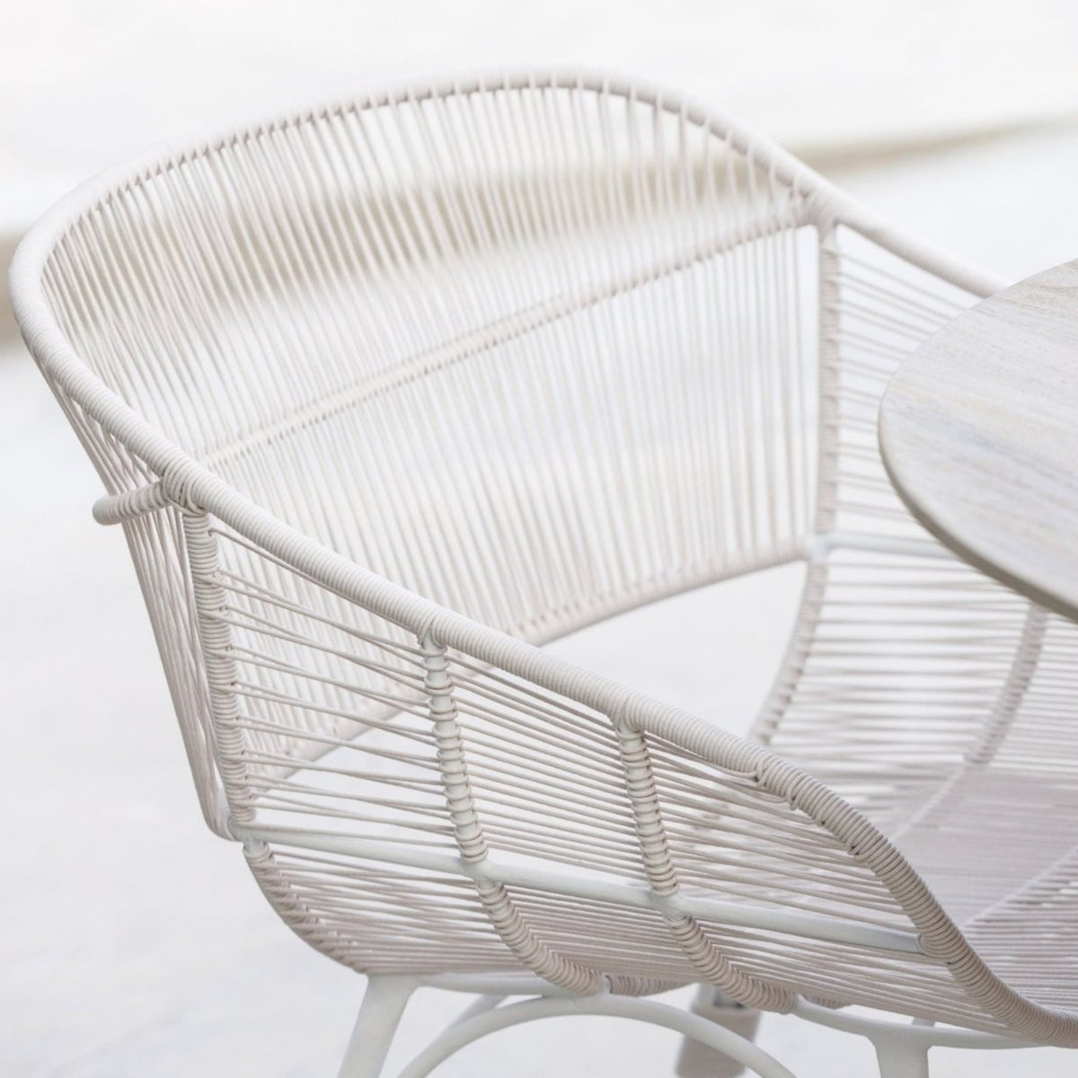 Marina Dining Armchair - Stonewhite & Chalk