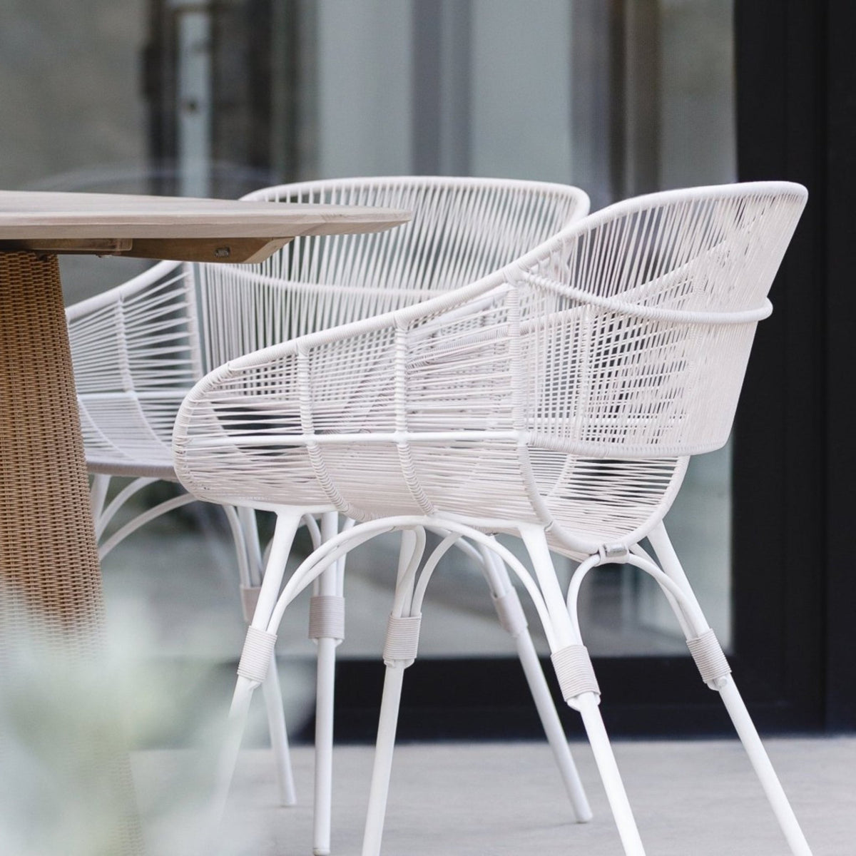 Marina Dining Armchair - Stonewhite & Chalk