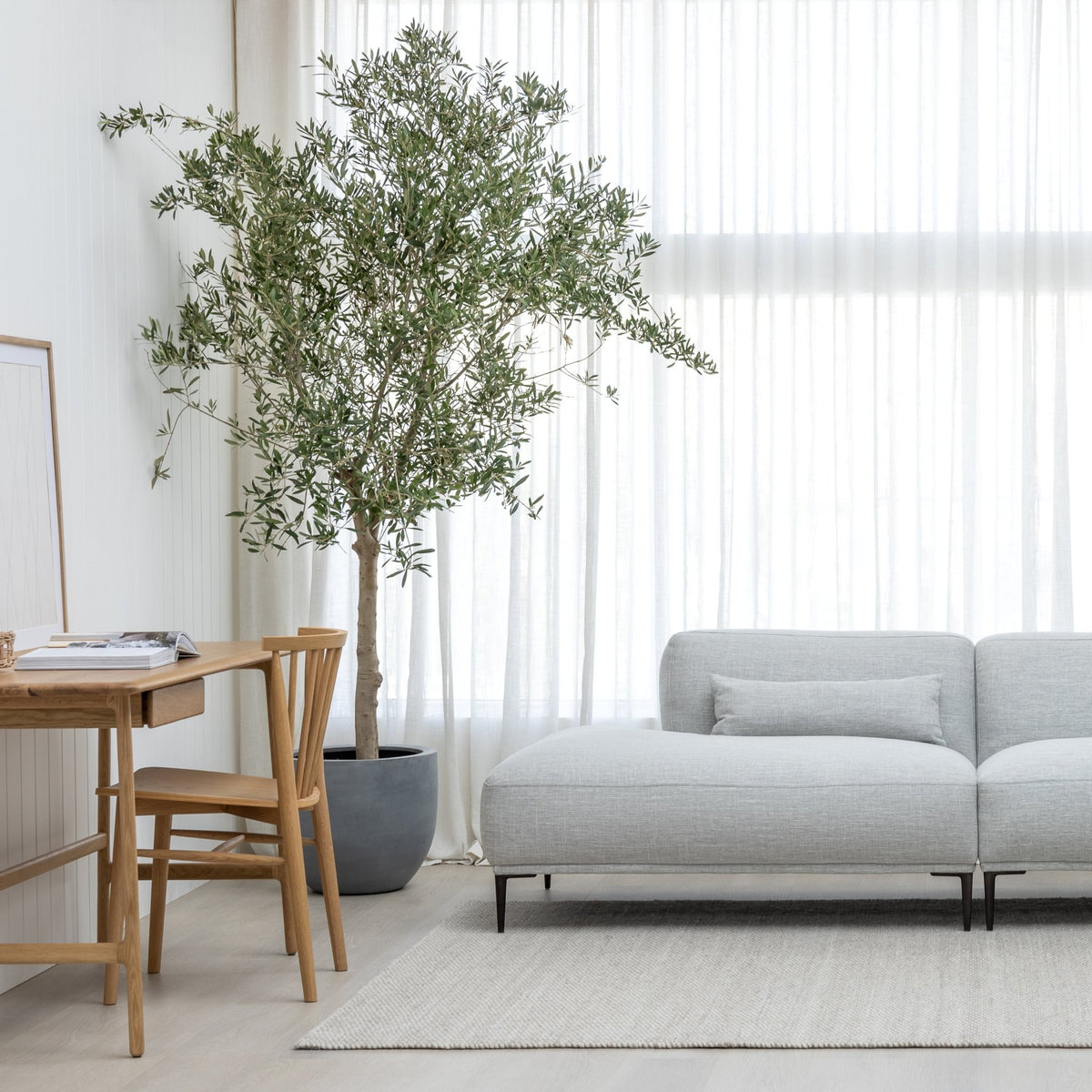 Requin Chair - Light Oak