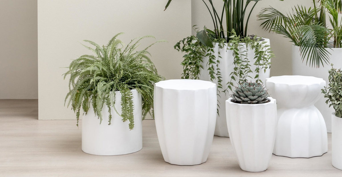 Pots & Planters.