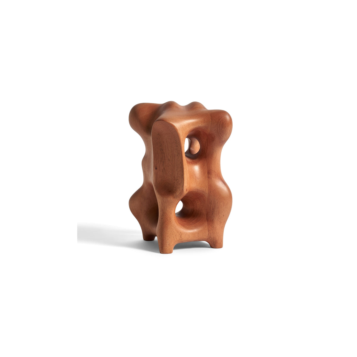 Organic Sculpture - Varnished Mahogany