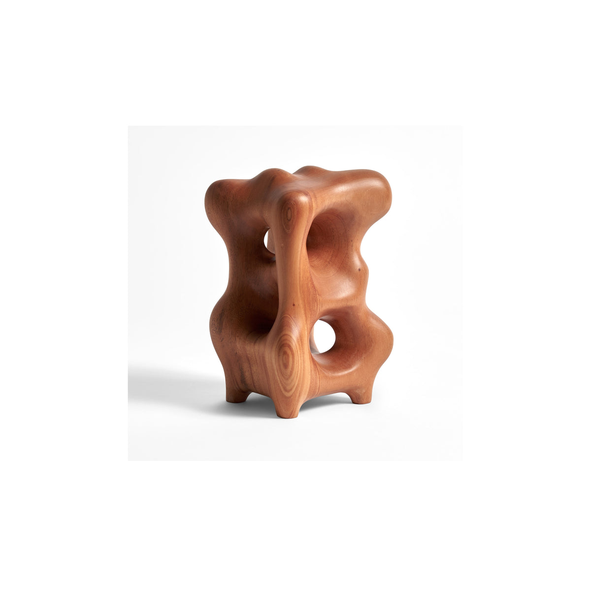 Organic Sculpture - Varnished Mahogany