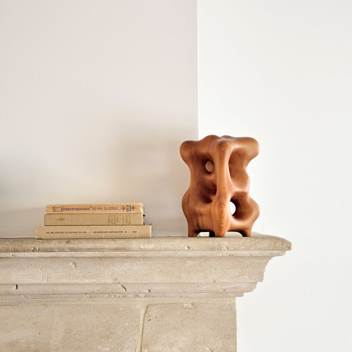 Organic Sculpture - Varnished Mahogany