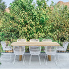 Bloom Dining Chair - Stonewhite & Chalk