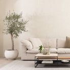 Feather Cloud Daybed Sofa - Natural - Modular Sofas Loom Collection Loom Collection Dubai