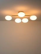 Imperial - 5 Light Brass And Opal Flush