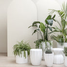 Joy Stool - Chalk - Side Tables Loom Collection Loom Collection Dubai