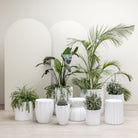 Maven Planter - Chalk - Loom Collection Loom Collection Dubai