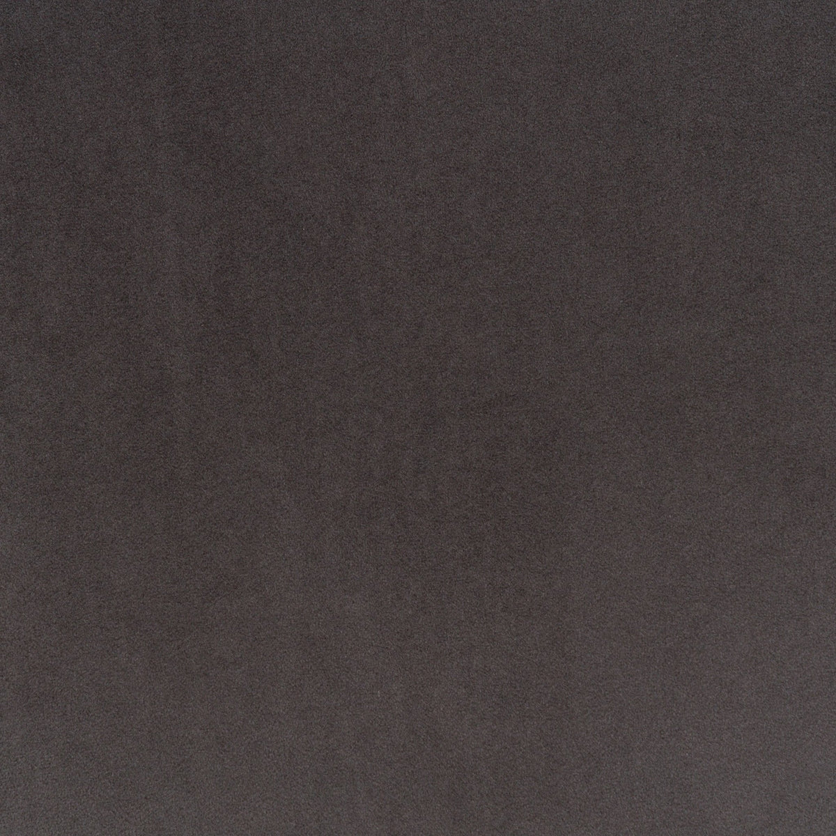 Monaco Dining Chair - Charcoal