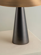 Orta - 1 Light Antique Silver And Burnished Brass Cone Table Lamp