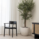 Poise Armchair - Black Oak & Charcoal Leather