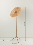Ridotti - 1 Light Natural Raffia And Burnished Brass Floor Lamp