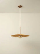 Ridotti - 1 Light Natural Raffia And Burnished Brass Pendant
