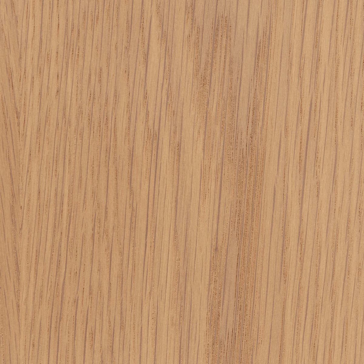 Tami Counter Stool - Blonde Oak - Bar & Counter Stools Tolv Loom Collection Dubai