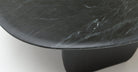 Eden Coffee Table 120 - Black Oak & Nero Perlato